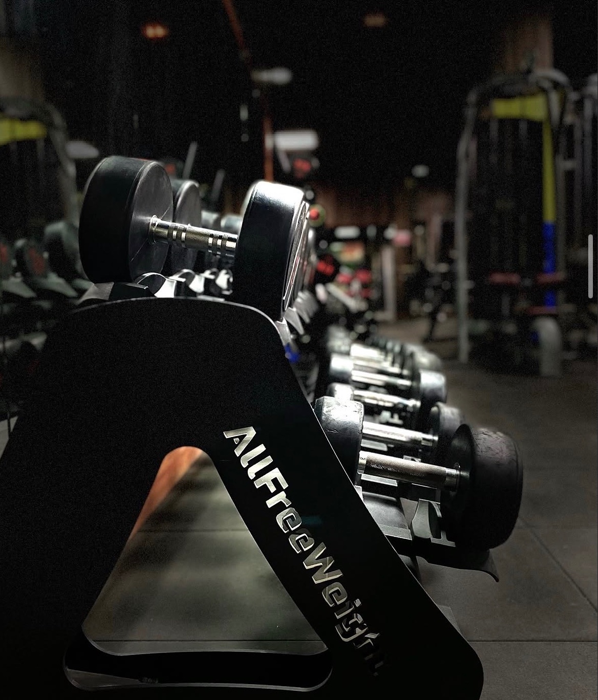 Musculation Athletica Club